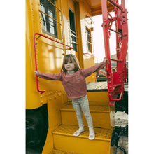 Load image into Gallery viewer, 1984 Mauve Ski Embroidery Sweatshirt
